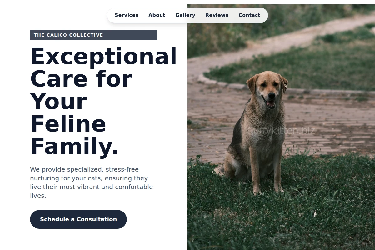 Meow Animal Care