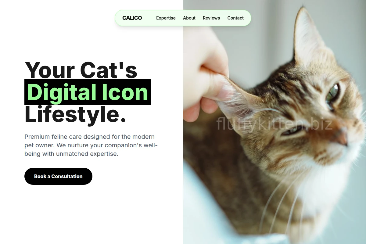 Sweet Animal Care