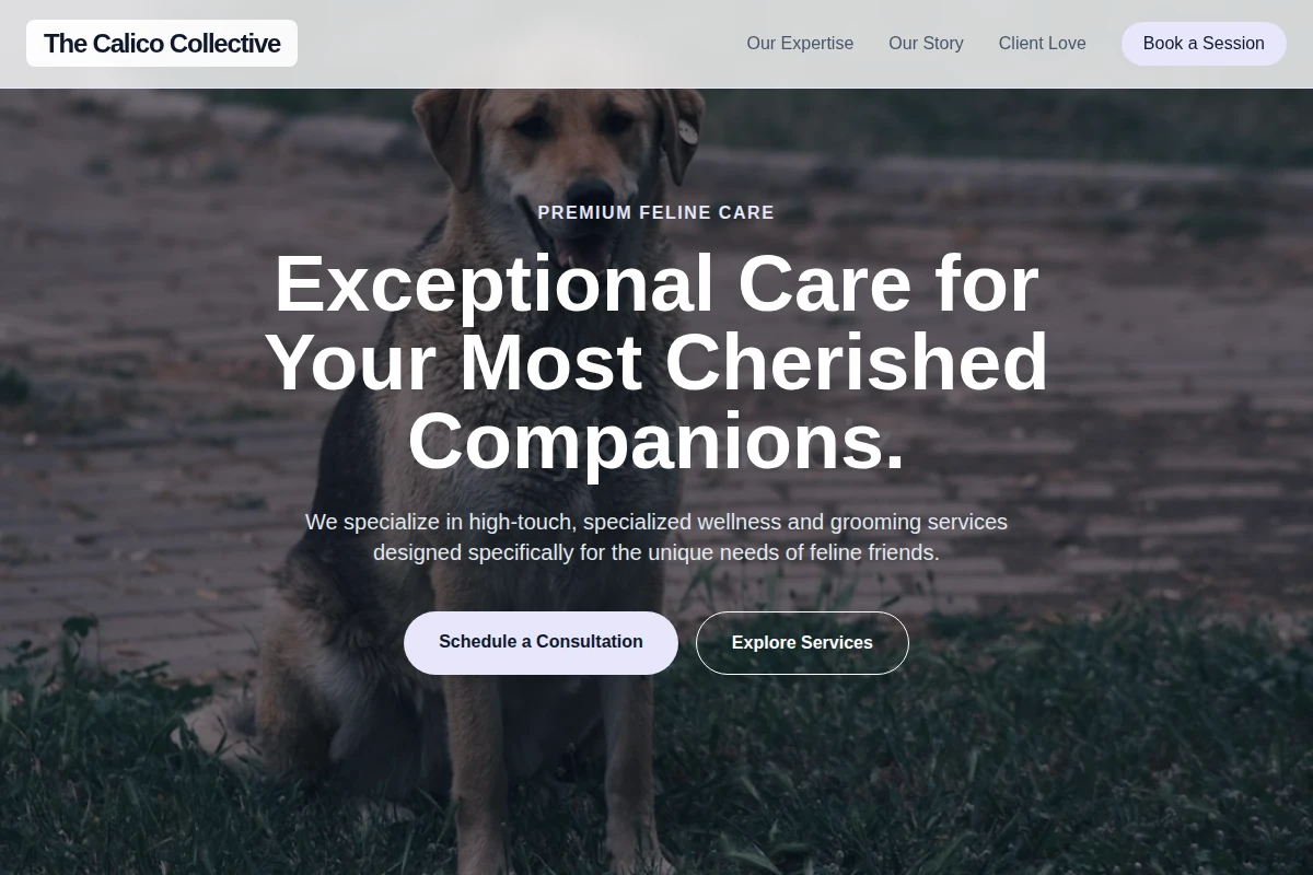 Treat Animal Care