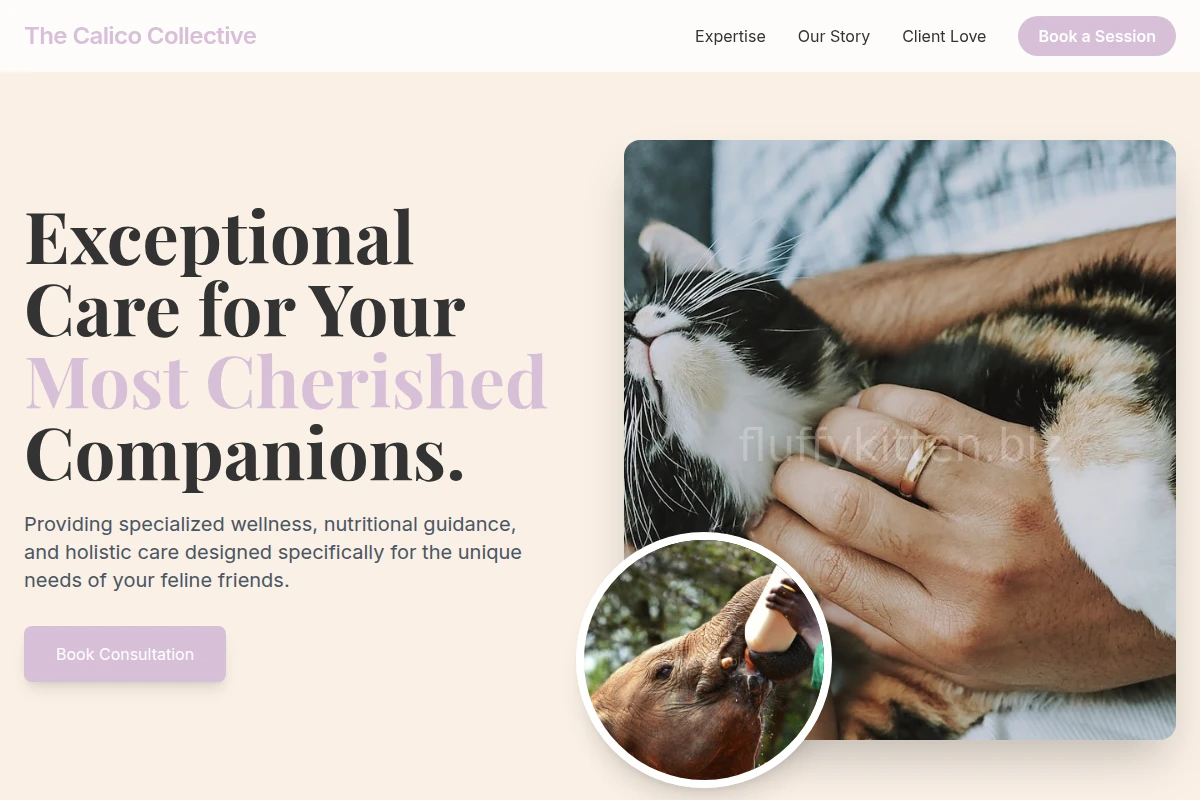 Catnip Animal Care
