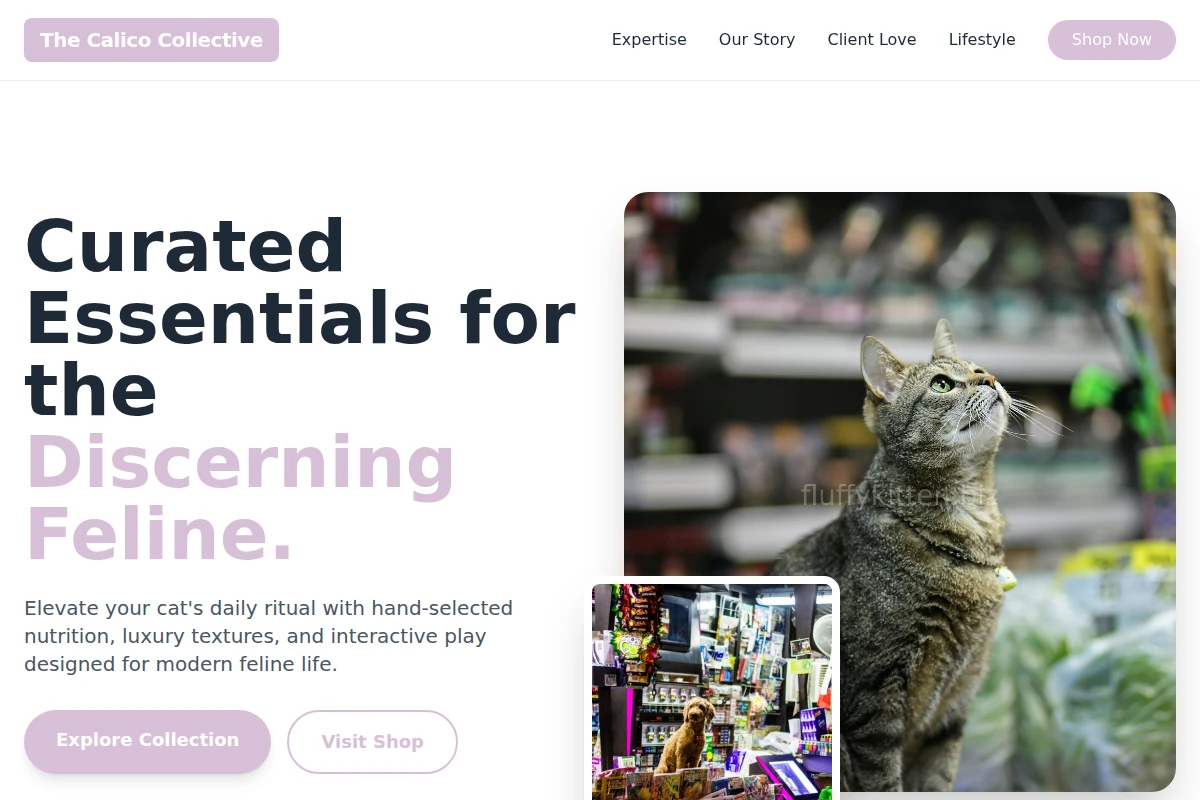 Pounce Pet Shop